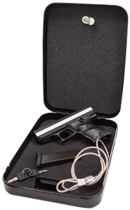 Hi-Point CF380 .380 ACP 3.5" Barrel 8Rds w/ Lockbox 